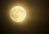 ¿Quieres saber más sobre la “Super Luna Rosa” del 7 de abril del 2020? Super luna rosa
