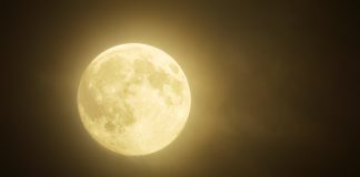 ¿Quieres saber más sobre la “Super Luna Rosa” del 7 de abril del 2020? Super luna rosa