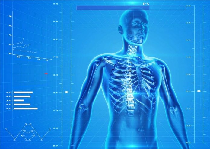 esqueletohumano Desarrollan sistema de diagnóstico rápido del covid-19 usando inteligencia artificial