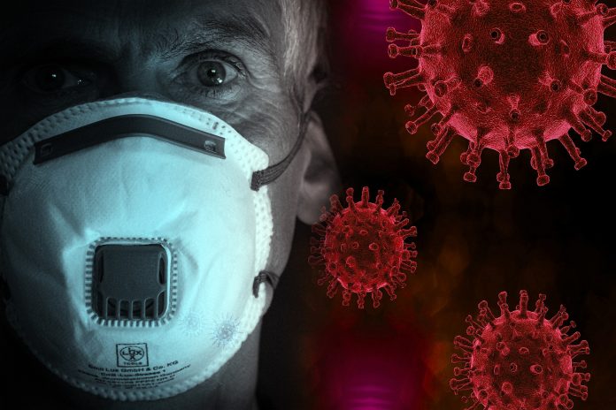 Coronavirus SARS-CoV2 Covid-19 Coronavirus SARS-CoV2 Covid-19