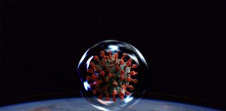 La ciencia sobre Covid 19, un cantar de gesta