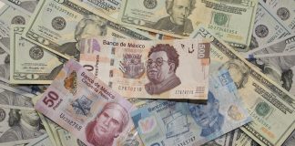 La diferencia con el modelo chino es que excluimos a la ciencia
