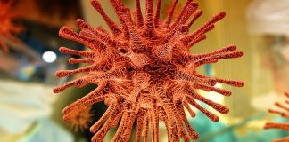 Vacunas, lección de aprendizaje para el cuerpo contra el virus