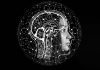 La respuesta está en la ciencia