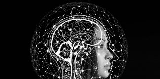 La respuesta está en la ciencia