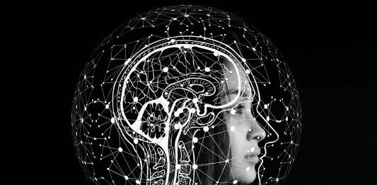 La respuesta está en la ciencia
